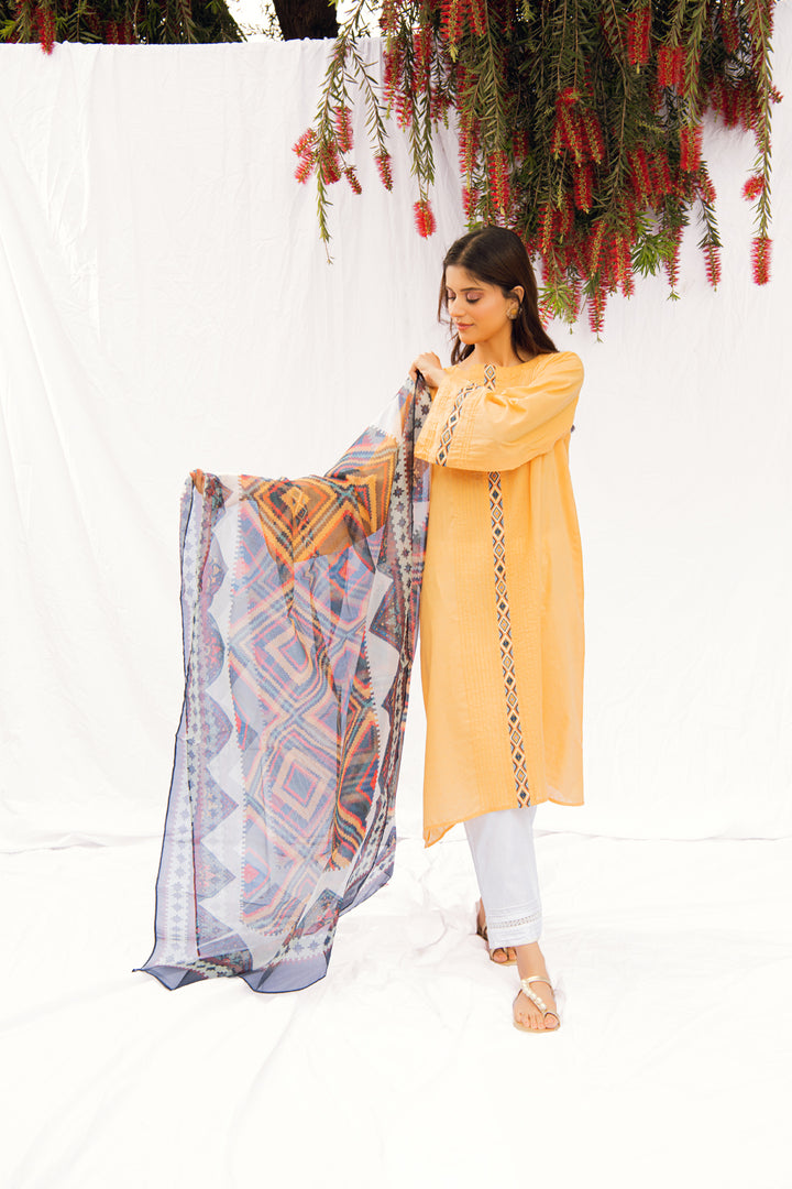 EMBROIDERED SHIRT WITH DUPATTA